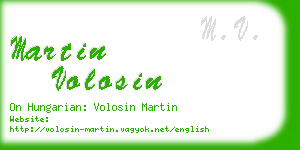 martin volosin business card